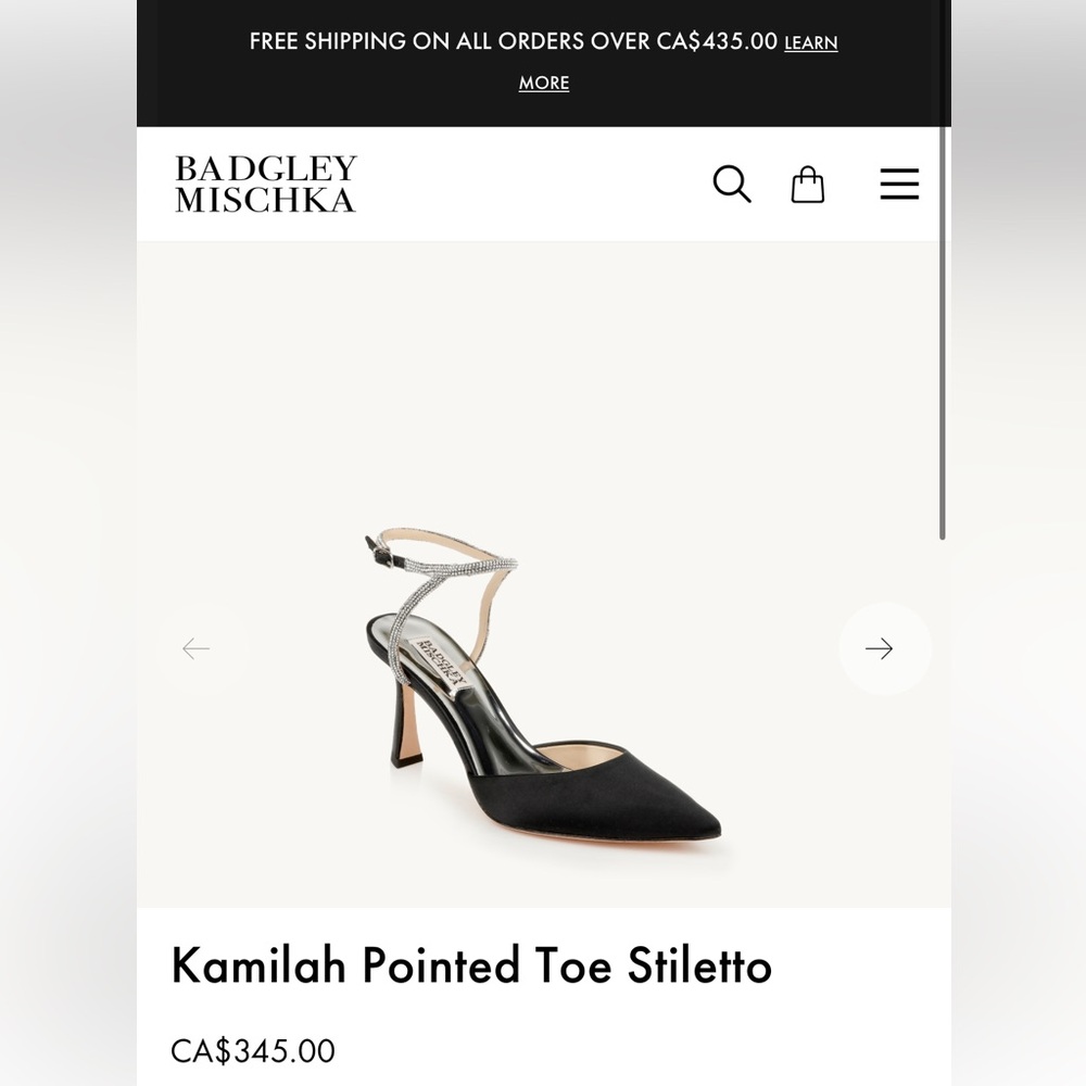 Badgley Mischka- Kamilah pointed toe stiletto
